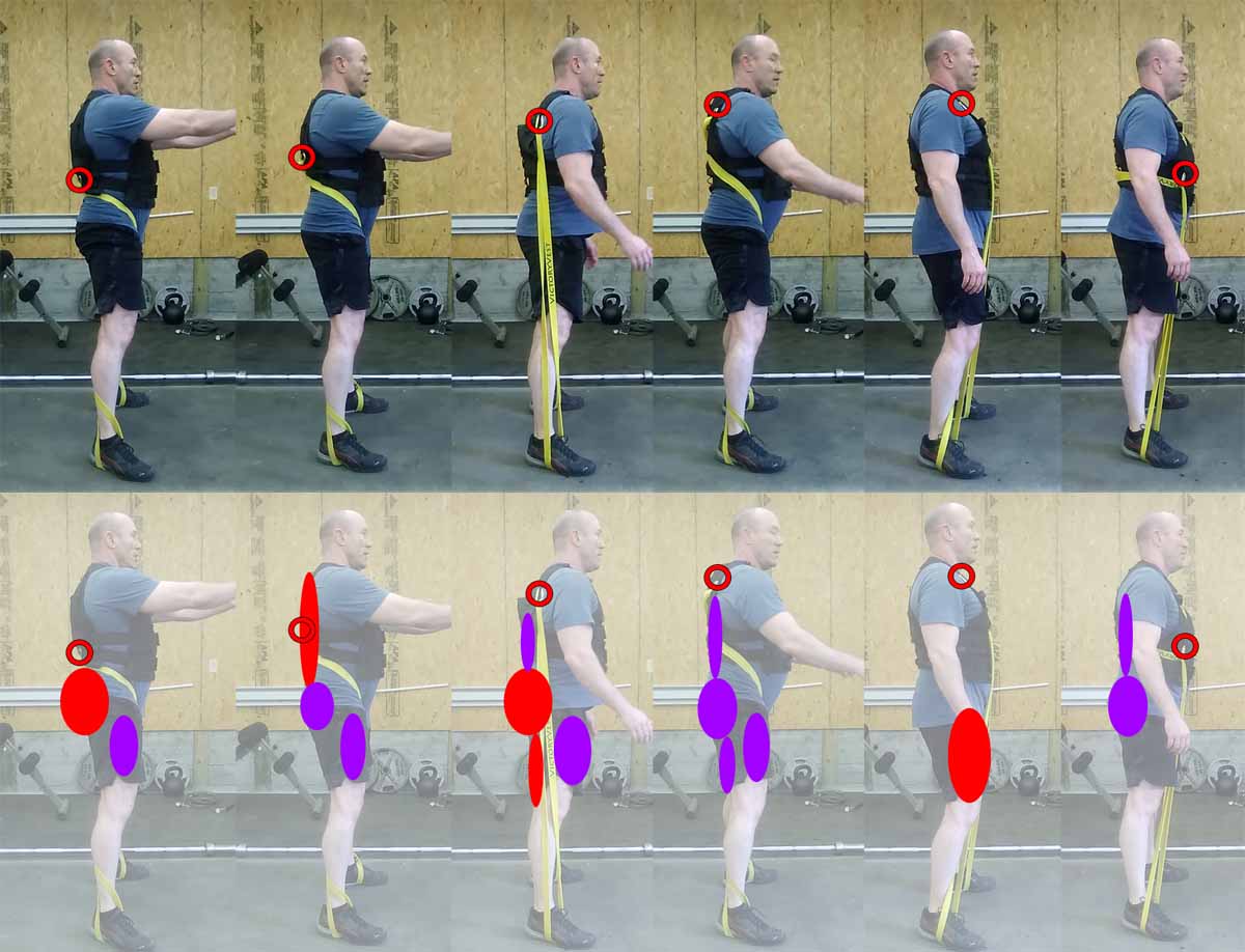 VictoryVest anchor points and muscle isolation